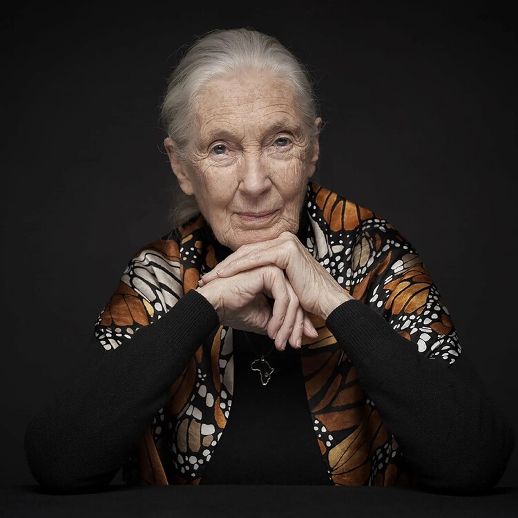Jane Goodall