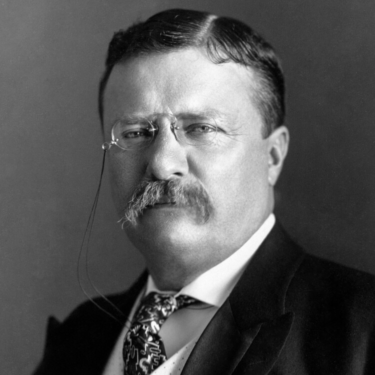 Theodore Roosevelt